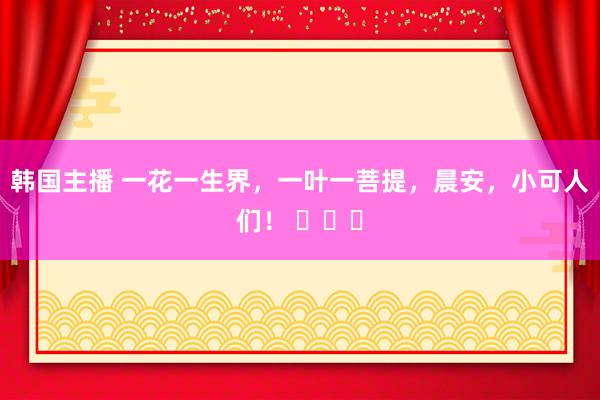 韩国主播 一花一生界，一叶一菩提，晨安，小可人们！ ​​​