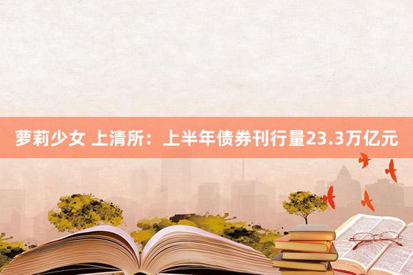 萝莉少女 上清所：上半年债券刊行量23.3万亿元