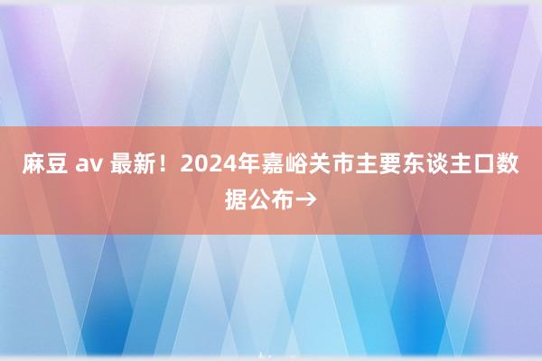 麻豆 av 最新！2024年嘉峪关市主要东谈主口数据公布→