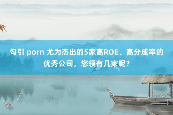 勾引 porn 尤为杰出的5家高ROE、高分成率的优秀公司，您领有几家呢？