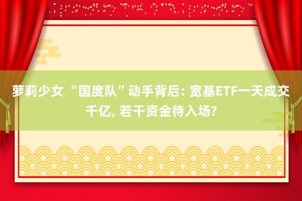萝莉少女 “国度队”动手背后: 宽基ETF一天成交千亿， 若干资金待入场?
