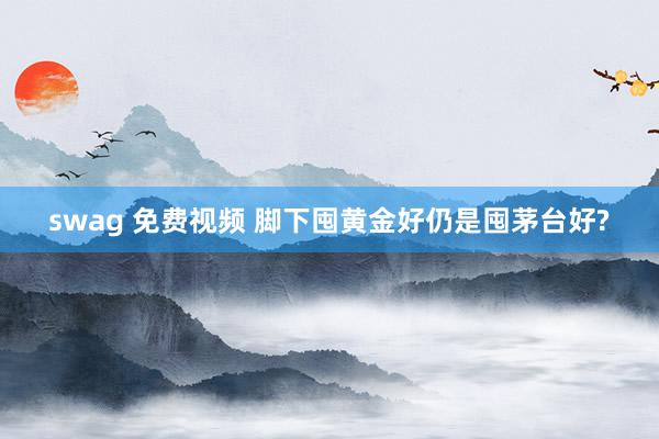 swag 免费视频 脚下囤黄金好仍是囤茅台好?