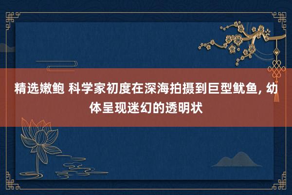 精选嫩鲍 科学家初度在深海拍摄到巨型鱿鱼， 幼体呈现迷幻的透明状