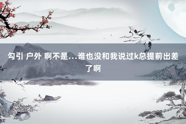 勾引 户外 啊不是…谁也没和我说过k总提前出差了啊