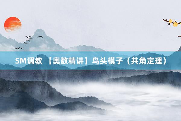 SM调教 【奥数精讲】鸟头模子（共角定理）