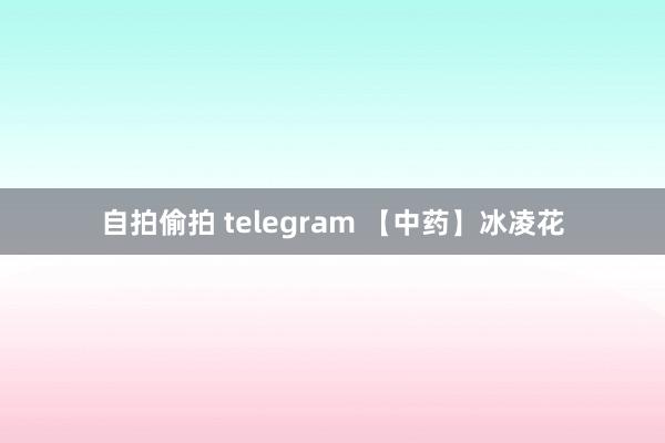 自拍偷拍 telegram 【中药】冰凌花